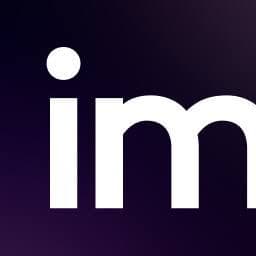 Immersity ai Logo Image